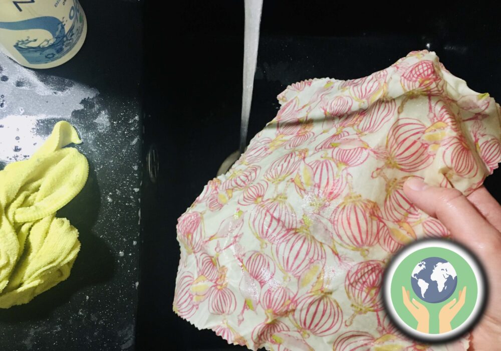 maailm päästetud IMG-1353